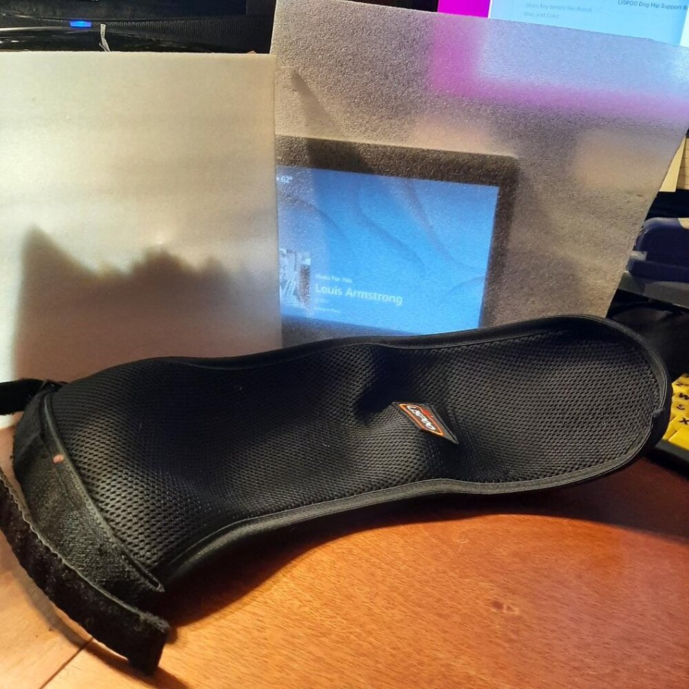 Lispoo Dog Hip Support Brace for Hip Dysplasia Arthritis Pain Black